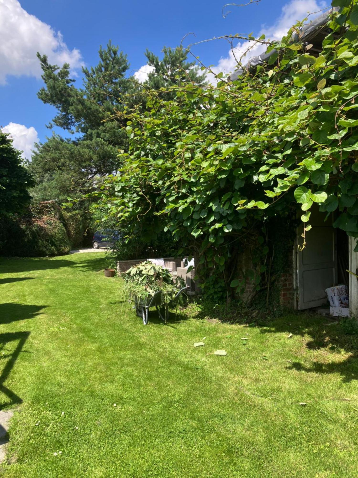 La Canopee Lecelles Exterior foto
